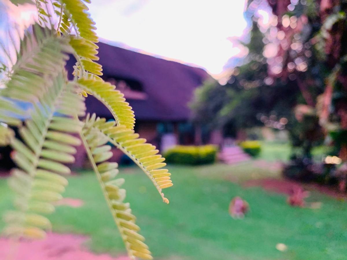 OppiPlasie Guest House Brits Exterior foto